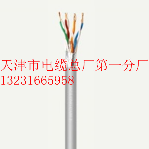 供應(yīng)STP-120Ω2*18AWGRS48通訊電纜