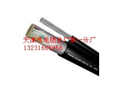 供應(yīng)鎧裝屏蔽通信電纜HYAP53/20*2*0.5鎧裝屏蔽通信電纜