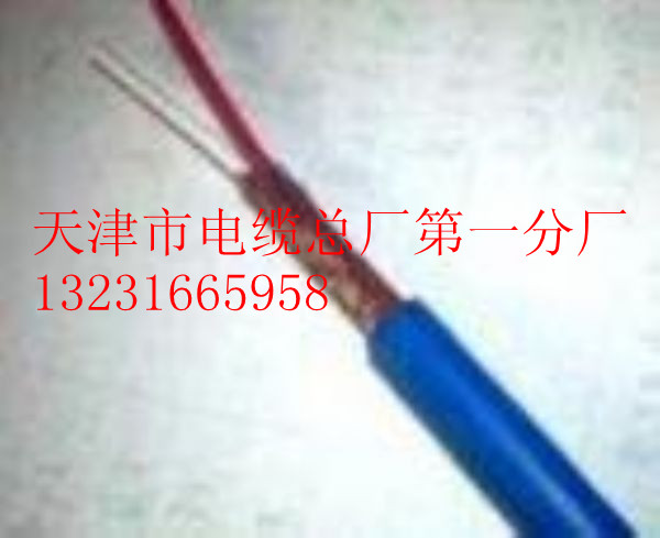 市話電纜HYAC,自承式架空通信電纜HYAC 5對(duì)-600對(duì)