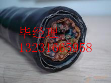 全塑鎧裝通信電纜HYA53-800*2*0.5HYA53鎧裝通信電