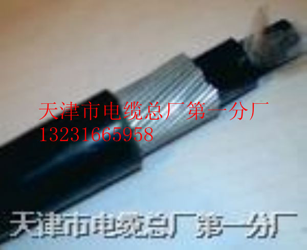 供應(yīng)通信電纜 HYAT23 50X2X0.5畢經(jīng)理0316-596