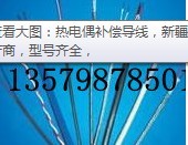 新疆壓力表YD熱電偶烏魯木齊耐震壓力表、工業(yè)熱電偶