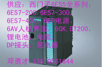 PLC全新未開封6ES5301-3AB13 / 便宜實惠