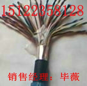 瓦絲監(jiān)控探頭線（至全國各地）礦用防爆電話線MHYV規(guī)格價格