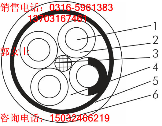 音頻信號電纜