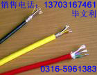 DJYPVR電纜;DJYPVR計(jì)算機(jī)電纜,軟芯計(jì)算機(jī)電纜