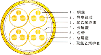 計(jì)算機(jī)屏蔽電纜DJYVP；計(jì)算機(jī)電纜-DJYVP