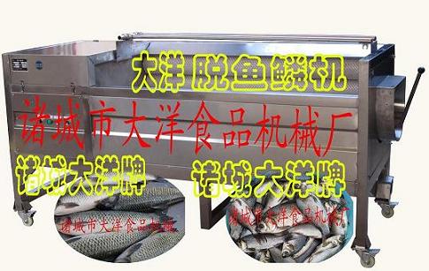 熱銷鮮魚脫鱗機(jī)、高品質(zhì)剝魚鱗的設(shè)備 大洋牌 品質(zhì)卓越