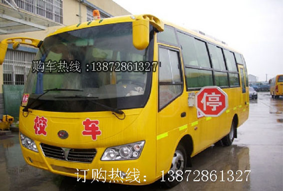 36座校車，37座校車，38座校車，39座校車，楚風校車