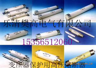 XRNT1-12/40A變壓器保護(hù)用熔斷器