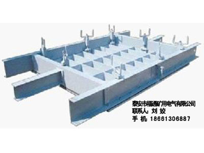 泰安福通生產(chǎn)防火、防水密閉門