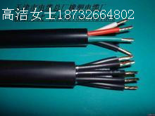 好PTY232電纜天聯(lián)造! 全國知名PTY22電纜品牌