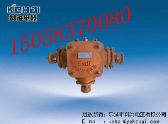 BHD2-25/3礦用電纜接線(xiàn)盒，礦用防爆接線(xiàn)盒