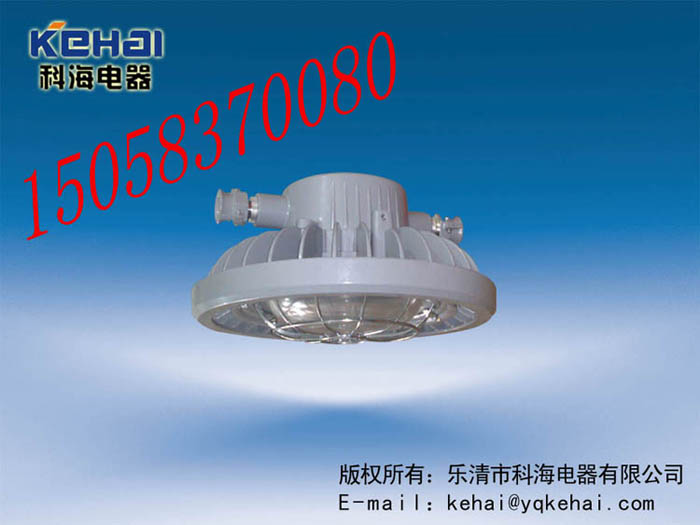 DGS70/127L(A)礦用隔爆型LED巷道燈，礦用LED巷道燈