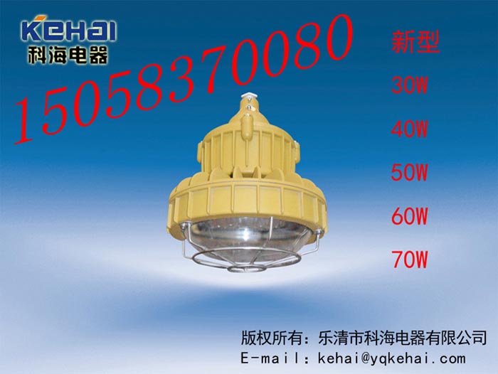 免維護(hù)LED防爆燈價(jià)格，BED-II40WLED防爆燈圖，免維護(hù)LED