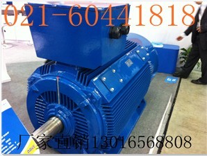 Y2-400-2-355KW上海低壓大功率電機(jī)銷售批發(fā)零售