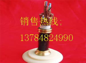 【天聯(lián)】機(jī)場(chǎng)助航燈光電纜JDYJY-2KV