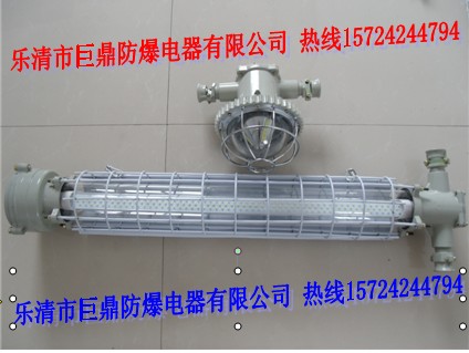 DGS18/127L（B）礦用隔爆型LED巷道燈