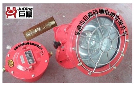 DGE175/127B礦用隔爆型投光燈，礦用投光燈