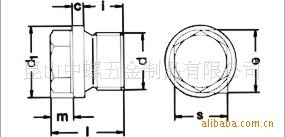 外六角法藍螺塞 DIN 910