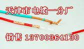 撫順礦用防爆電話電纜銷售，撫順煤礦防爆電話電纜廠家