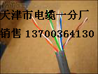 撫順供應(yīng)IAK2YVP，IAK2YVP22，撫順本安信號(hào)電纜