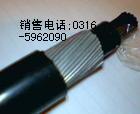 全聚氯乙烯局用電纜HJVV HJVVP 48，50，63，78