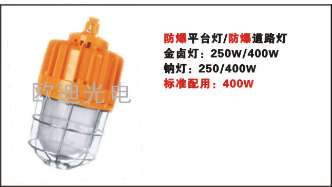 BYC6218 廠用防爆金鹵燈