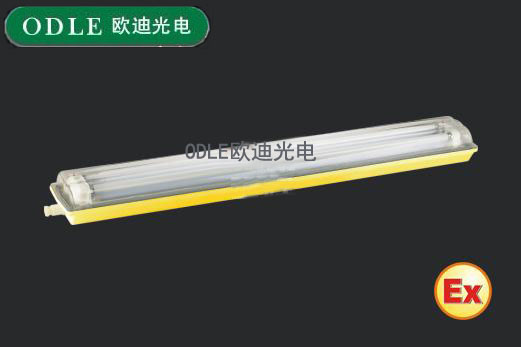 BCX6225型粉塵防爆防腐熒光燈