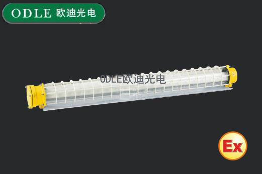 BCX6228防爆熒光燈