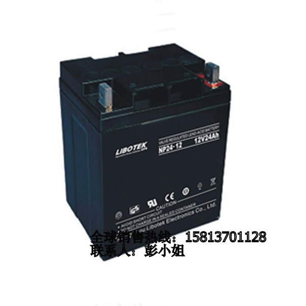 德國(guó)利波特免維護(hù)鉛酸蓄電池NP24-12 12V24AH