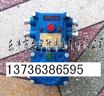 KXH127（打點(diǎn)通話器)礦用隔爆兼本質(zhì)安全型聲光組合信號器