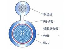 TVR彈性體吊籃線 電動(dòng)葫蘆專(zhuān)用電纜