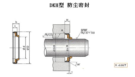 防塵DKH、dki軸往復(fù)運(yùn)動(dòng)密封圈-天津伊威井瑞專賣原裝進(jìn)口密封圈