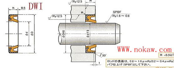 dwi、DKB/DKBI型密封圈，天津專賣原裝進口nok密封圈