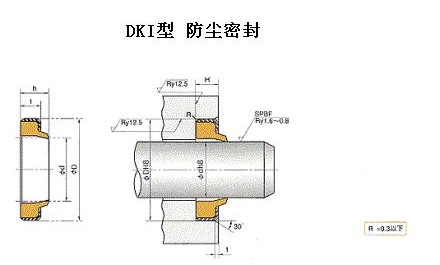 DKI往復(fù)運(yùn)動防塵密封件-NOK密封件-天津伊威井瑞廠家專賣