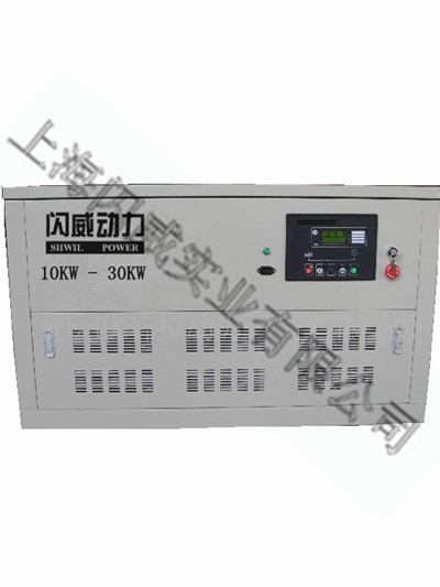 12KW汽油發(fā)電機(jī)/便攜式汽油發(fā)電機(jī)、