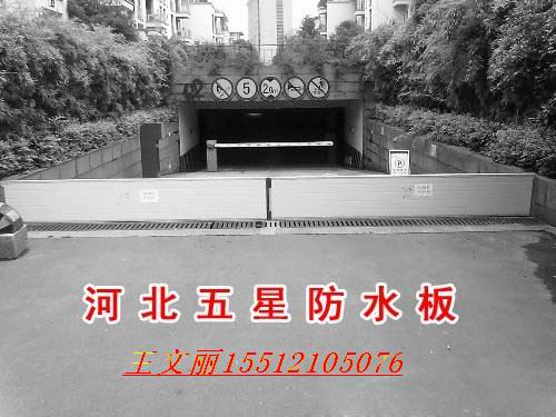 【抵御災(zāi)害】人防工程鋁合金擋水門；；地下設(shè)施鋁合金擋水門；；地鐵彩