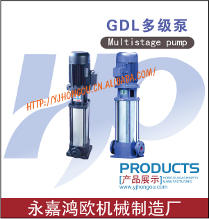 【細(xì)節(jié)圖】GDL型立式多級(jí)管道離心泵 40GDL6-12×8