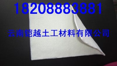 供應(yīng)昆明土工布(價格)云 南鎧越土工材料有限公司≡謝強(銷售經(jīng)理)