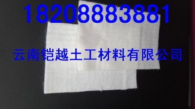 供應(yīng)云南土工布(價格)云南鎧越保溫材料有限公司≡謝強(qiáng)(銷售經(jīng)理)手