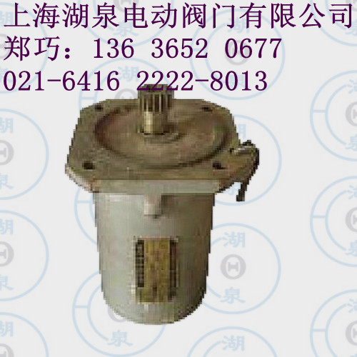 LQ電動(dòng)執(zhí)行器電機(jī)，LQ40-1電機(jī)，LQ80-1電機(jī)，LQ電機(jī)