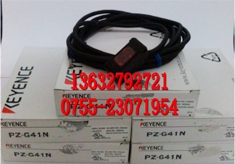 DP-101-N-P 資料 DP-101-N-P