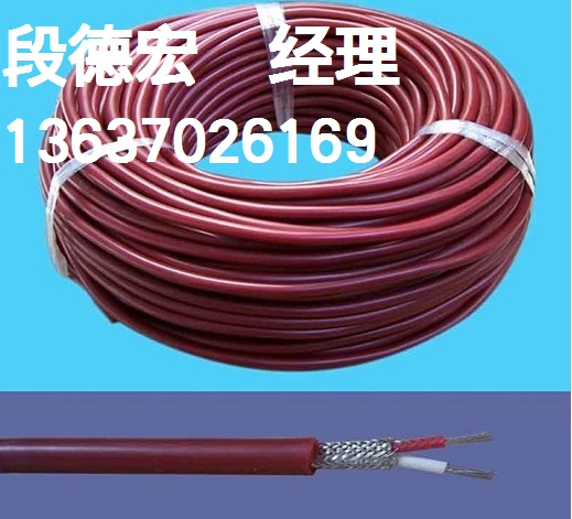 ZR-DJFPVPR-3*3*1.0 氟塑料絕緣組屏蔽聚氯乙烯護(hù)套計(jì)算機(jī)用電纜