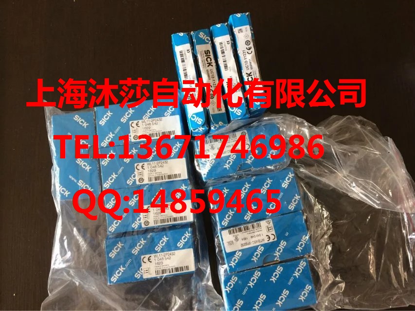 1036062 DFS60A-T5EK16384