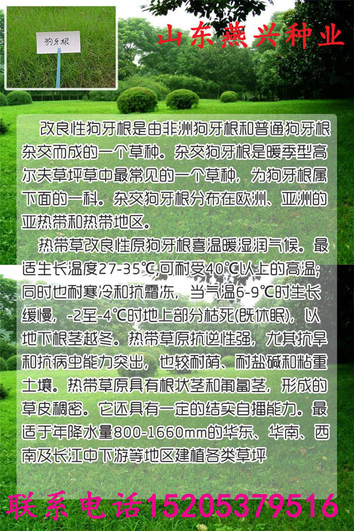 福建省南平市護(hù)坡草播種方法