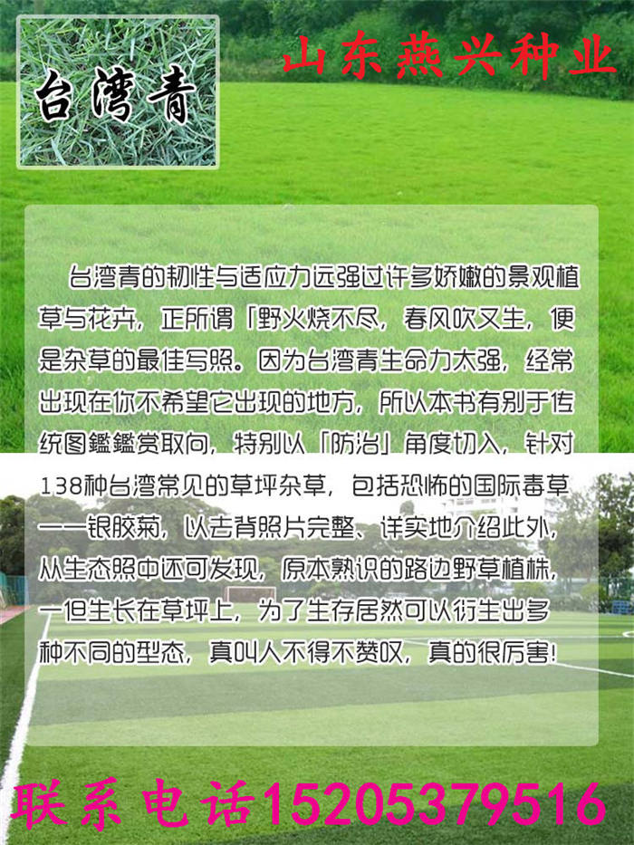 河南省信陽市護(hù)坡草種植辦法