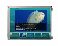 AA121XK04 三菱(Mitsubishi) TFT LCD