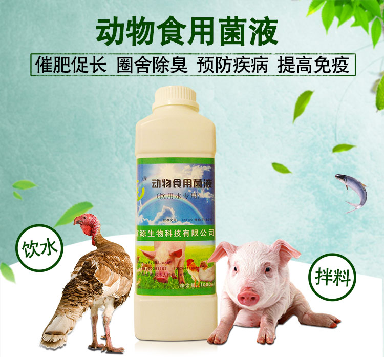 豬飼料添加劑催肥促長益富源動物食用菌液的作用