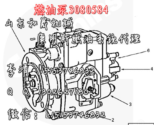 特雷克斯TR60配燃油泵3080584【康明斯KTA38柴油機(jī)】